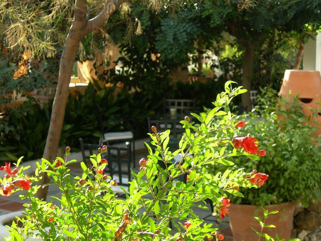 Hotel Alcadima Lanjarón Esterno foto